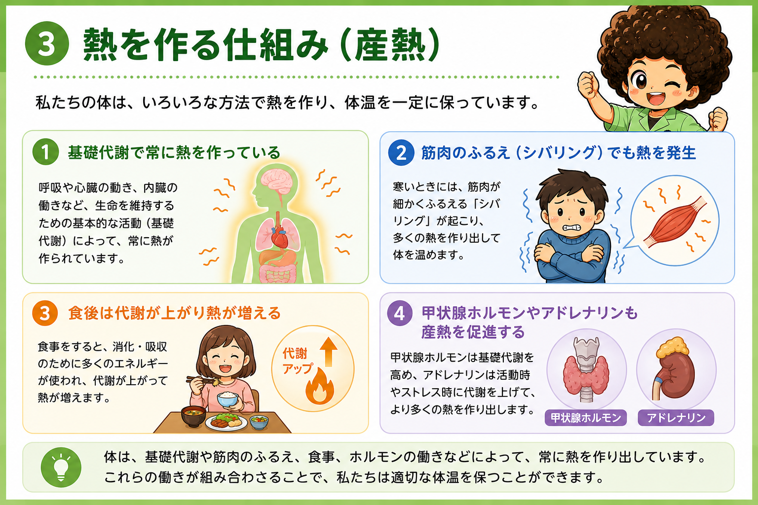 産熱のしくみ（基礎代謝・シバリング・食事・ホルモン）