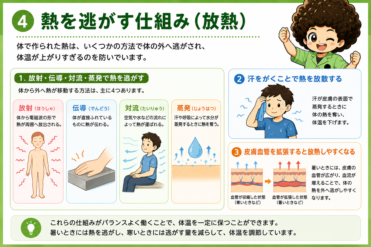 放熱の4様式と発汗・皮膚血管拡張