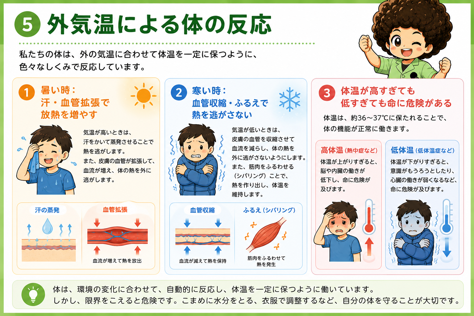 外気温による体の反応と高体温・低体温