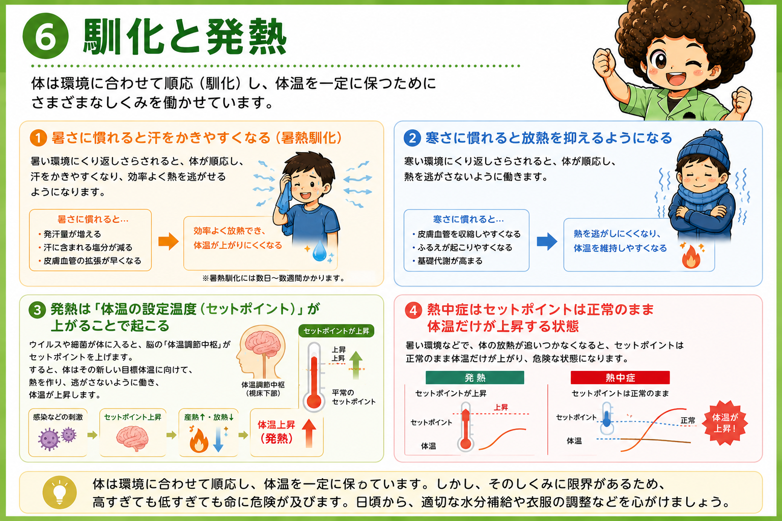 馴化と発熱・熱中症のセットポイントの違い