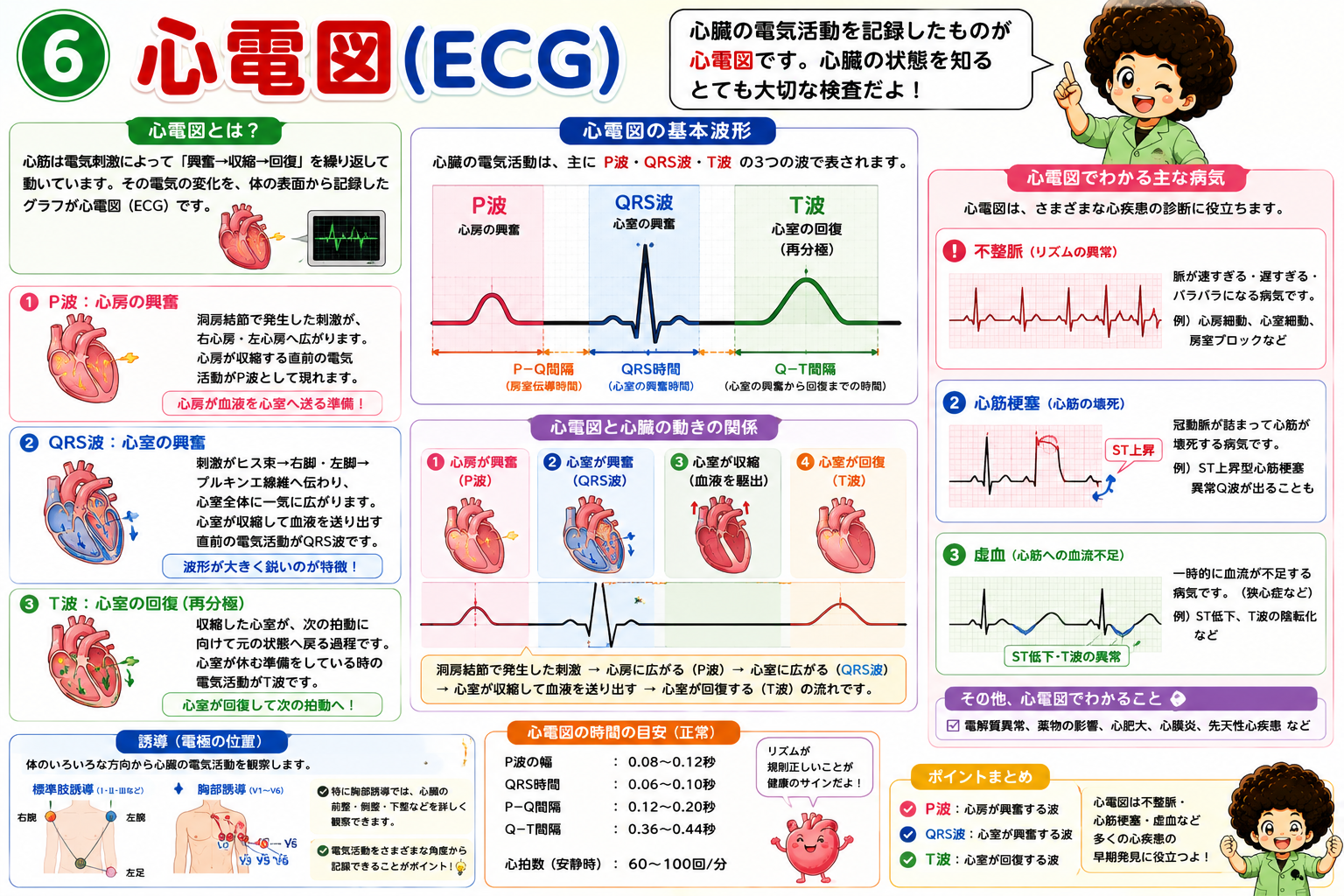 心臓｜心臓 1