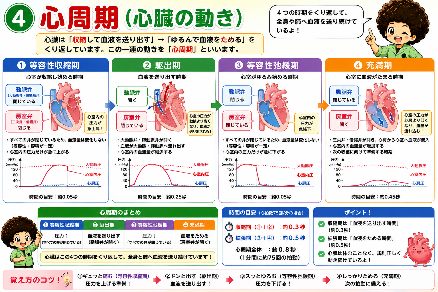 心筋の6つの特徴