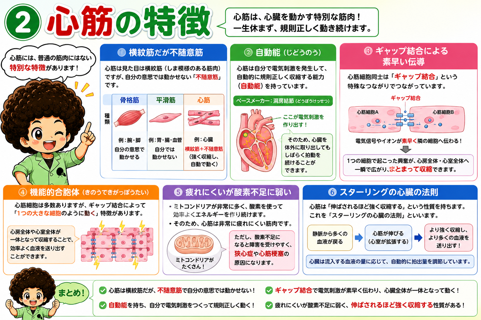 心周期4期と心室内圧・大動脈圧の変化