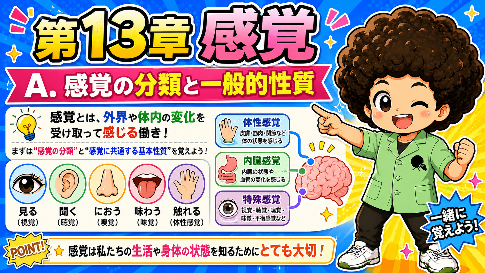 感覚の分類と一般的性質｜感覚の分類と一般的性質 1
