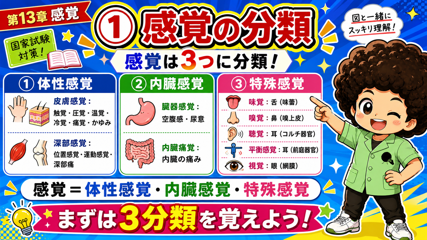 感覚は体性感覚・内臓感覚・特殊感覚の3つに分類される