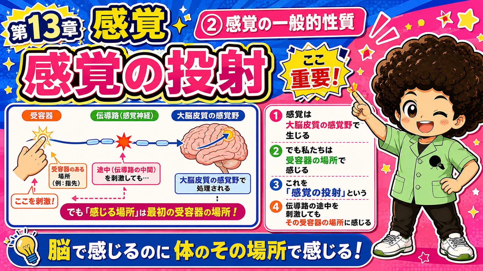 感覚の投射：脳で感じるのに体のその場所で感じる