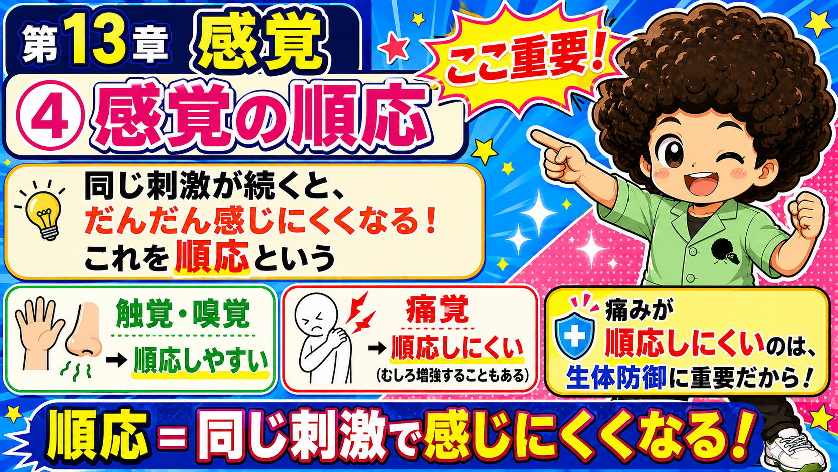 痛覚が順応しにくいのは生体防御に重要だから
