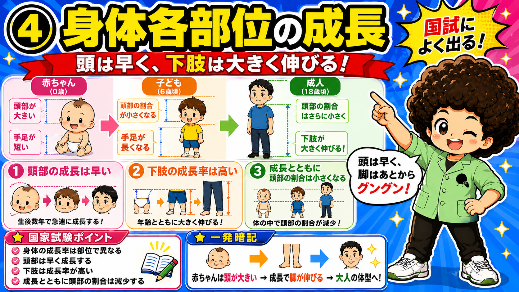 頭部は早く成長し、下肢は成長率が高い
