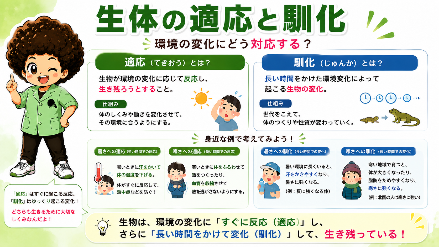 適応＝すぐに起こる反応、馴化＝ゆっくり起こる変化