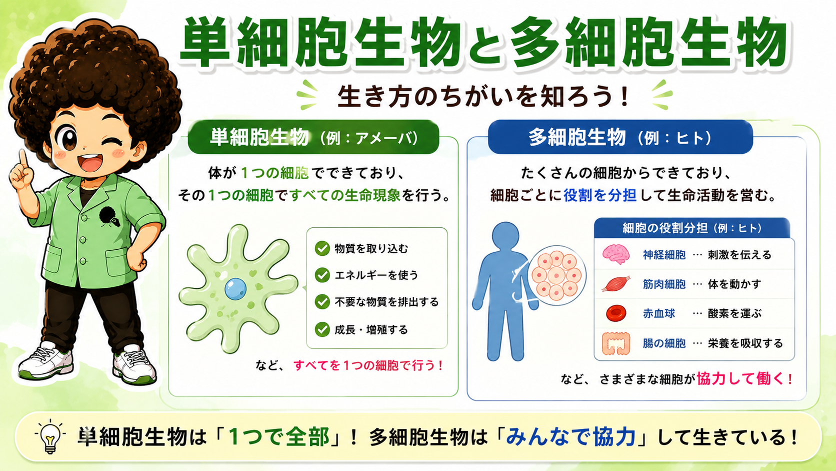 単細胞生物は「1つで全部」、多細胞生物は「みんなで協力」