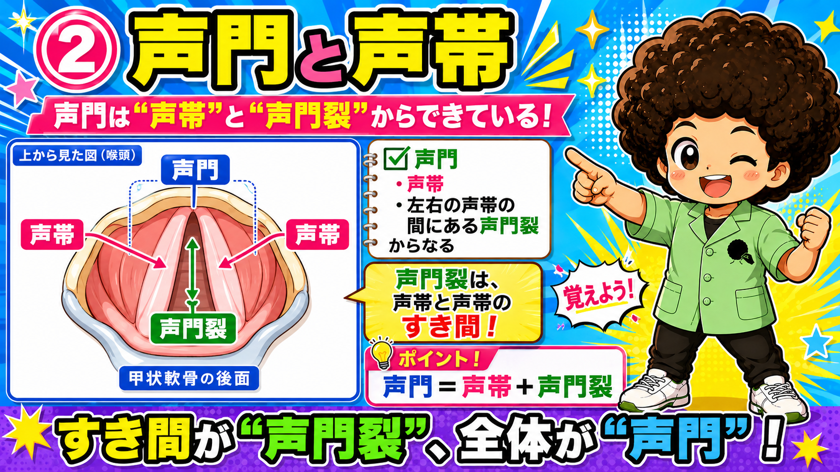 声門は声帯と声門裂からできている