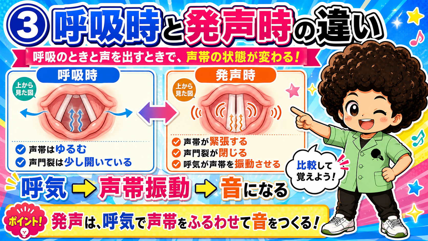 呼吸時は声帯弛緩・声門裂は少し開く／発声時は声帯緊張・声門裂が閉じる
