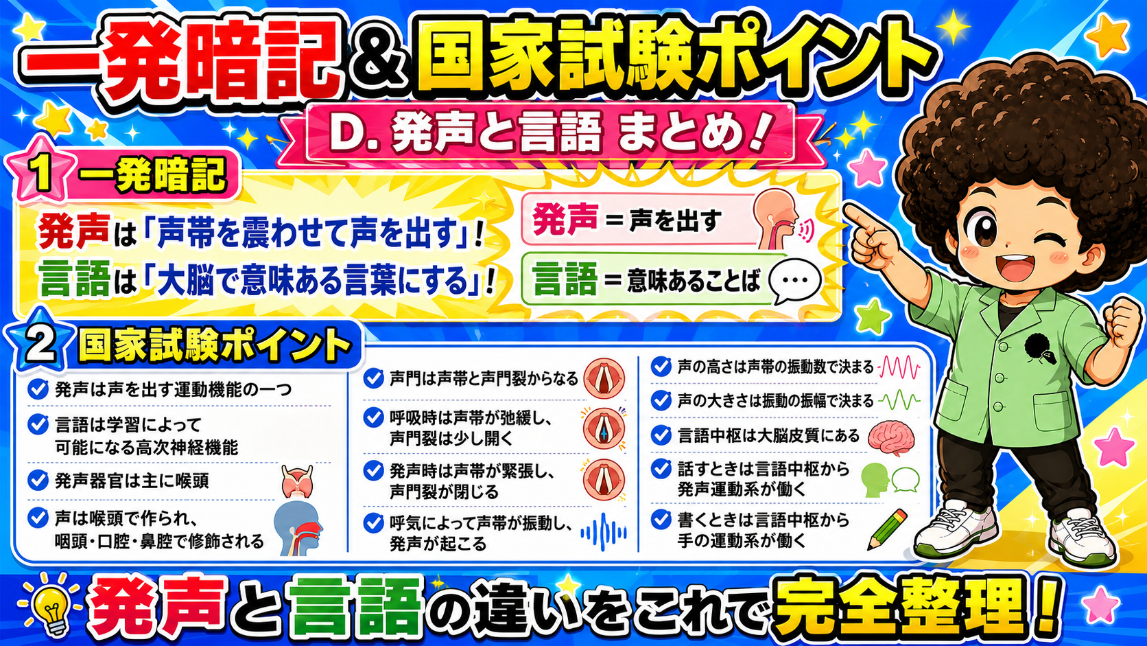 発声と言語の一発暗記＆国家試験ポイントまとめ