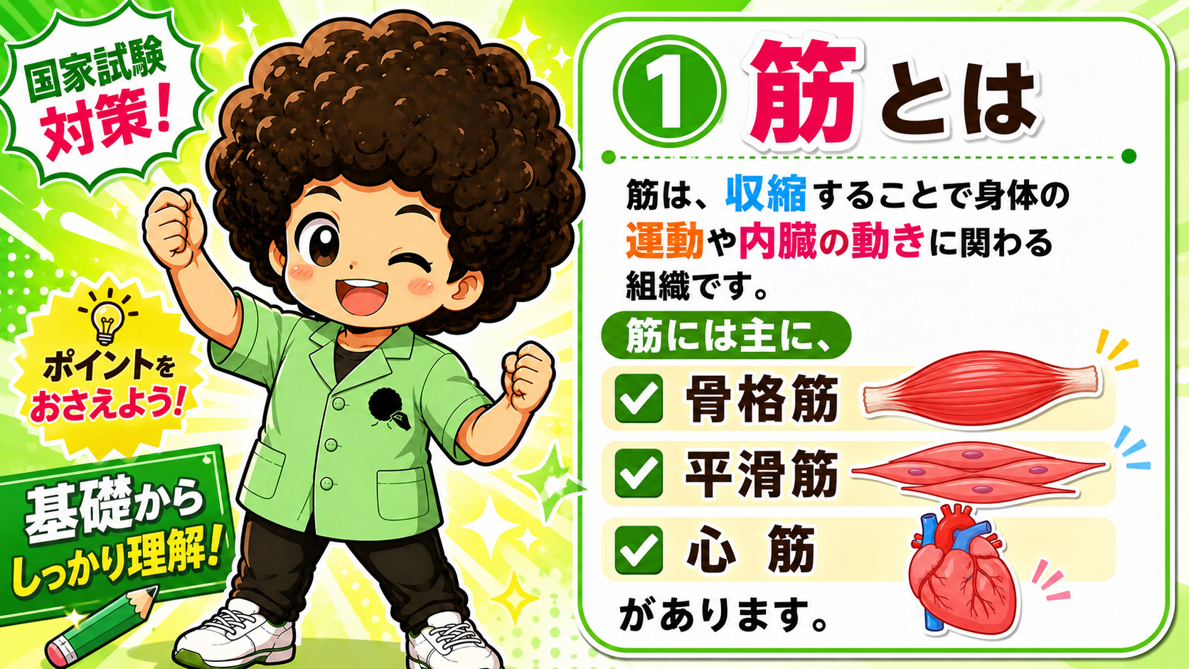 筋とは｜筋とは 1