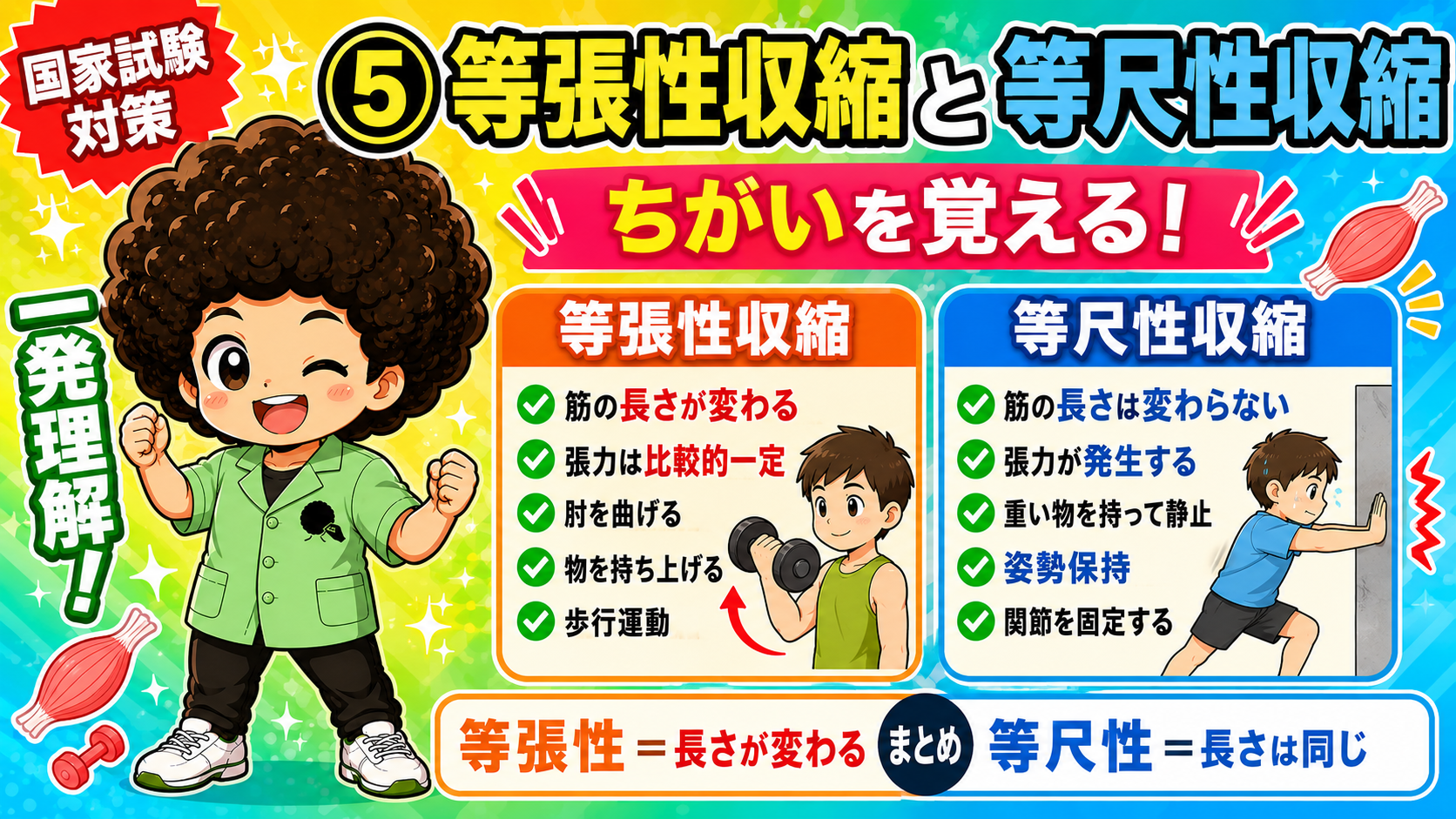等張性収縮＝長さが変わる、等尺性収縮＝長さは同じ