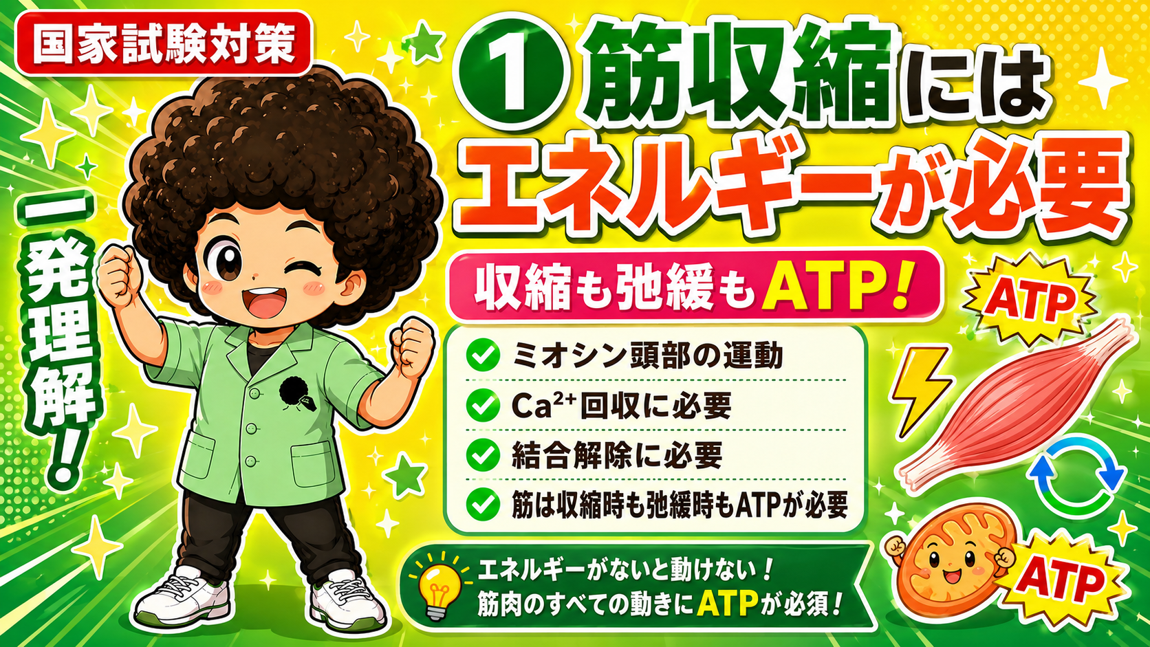 筋収縮とATP｜筋収縮とATP 1