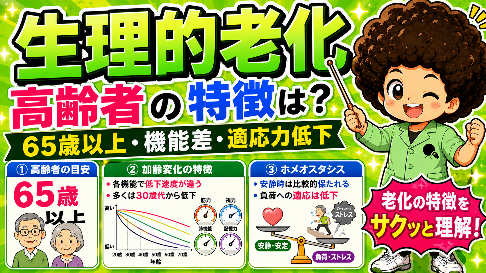 生理的老化の特徴＝65歳以上・機能差・適応力低下