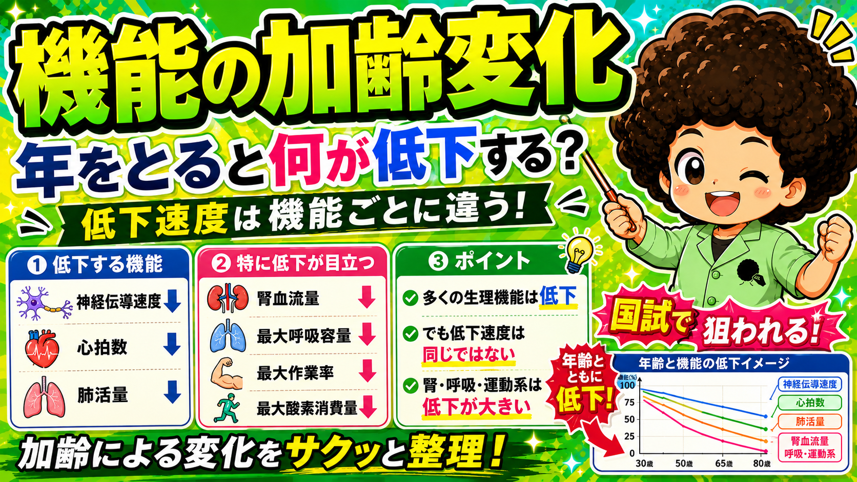 年齢と機能の低下イメージ（30歳・50歳・65歳・80歳）