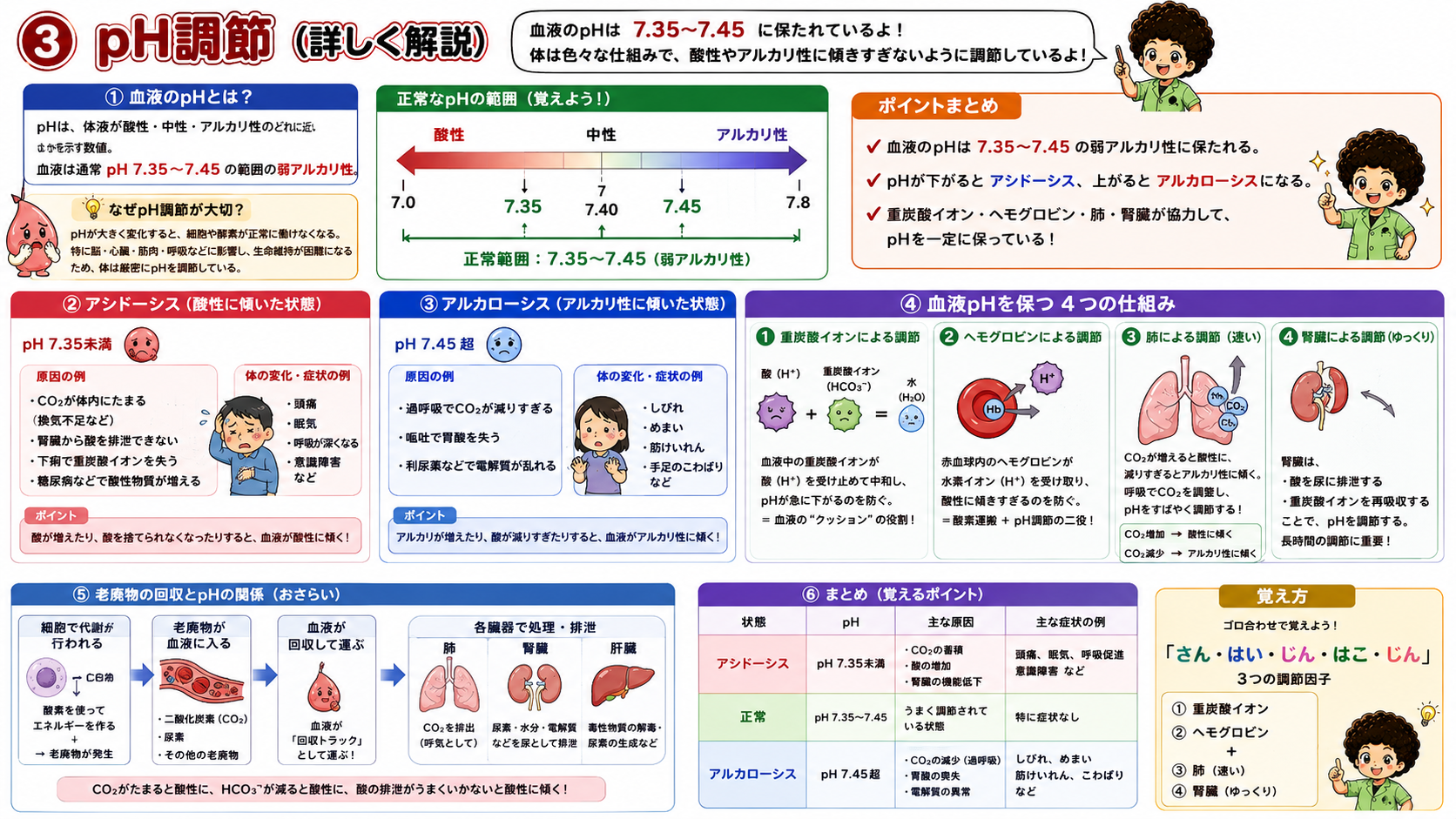 血液pHの正常範囲と4つの調節機構