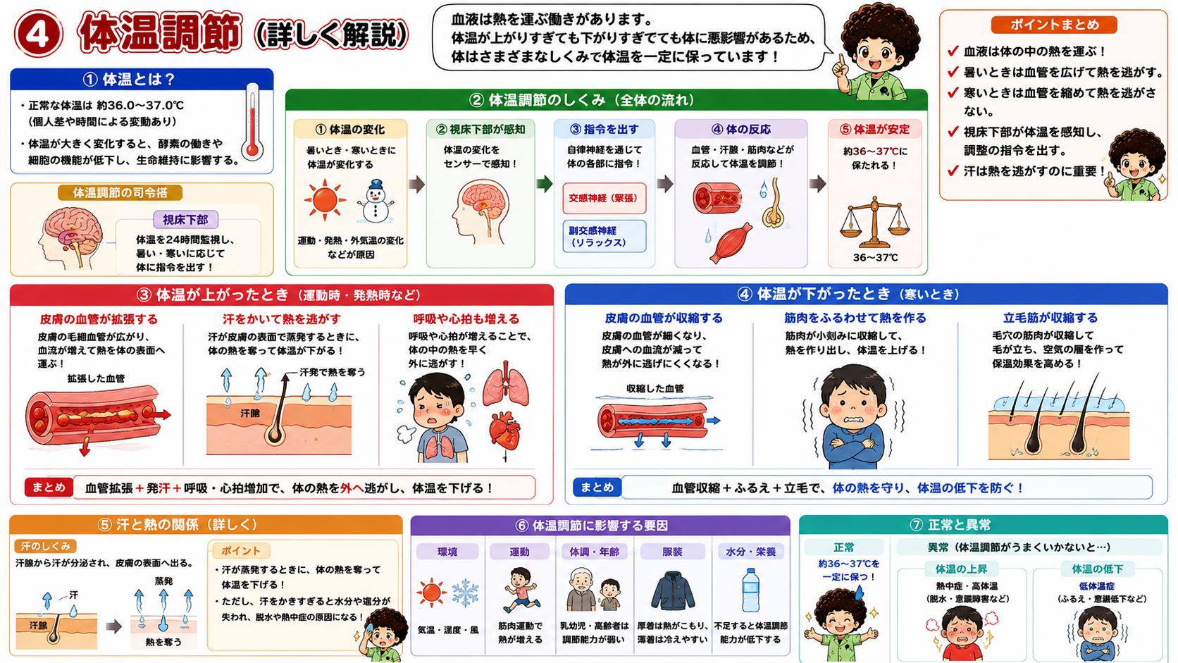 体温調節のしくみ（司令塔は視床下部）