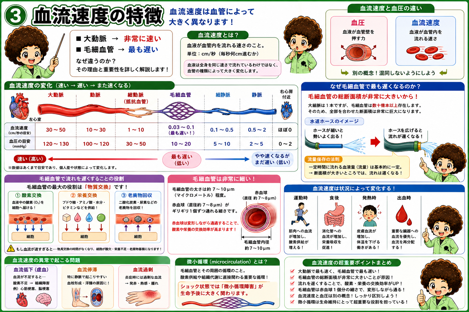 静脈弁・筋ポンプ・呼吸ポンプの3つの補助機構