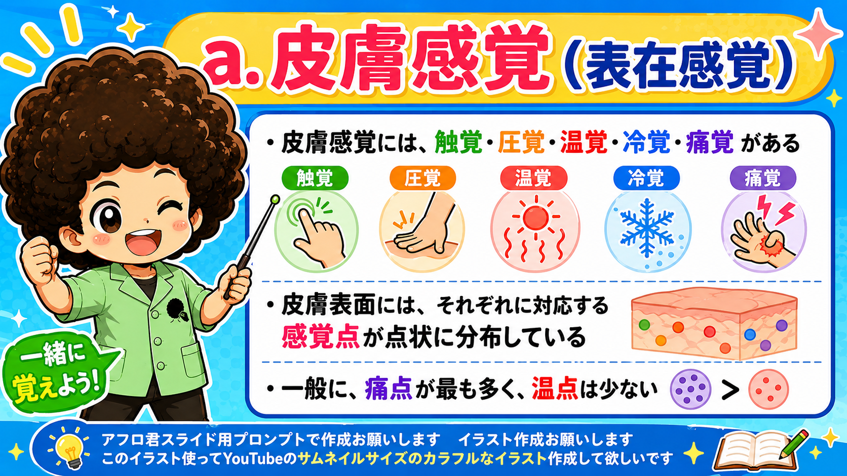 皮膚感覚（表在感覚）は触覚・圧覚・温覚・冷覚・痛覚の5つ。痛点が最も多く温点は少ない