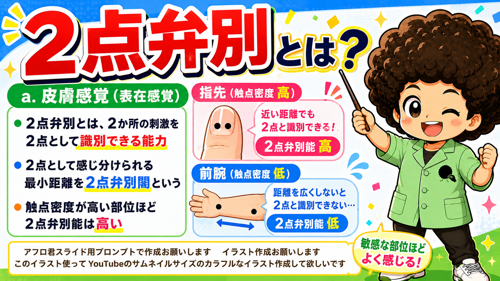 2点弁別閾＝2点として識別できる最小距離。触点密度が高い指先ほど2点弁別能は高い