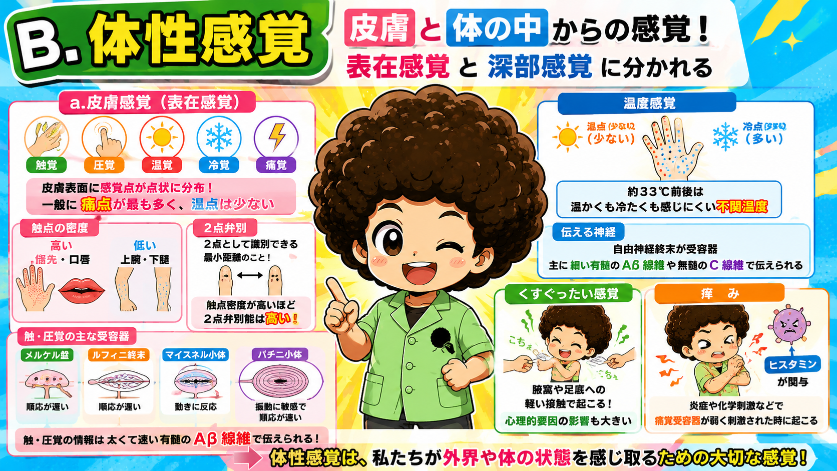 体性感覚の全体像。くすぐったい感覚と痒み（ヒスタミン関与）も要チェック