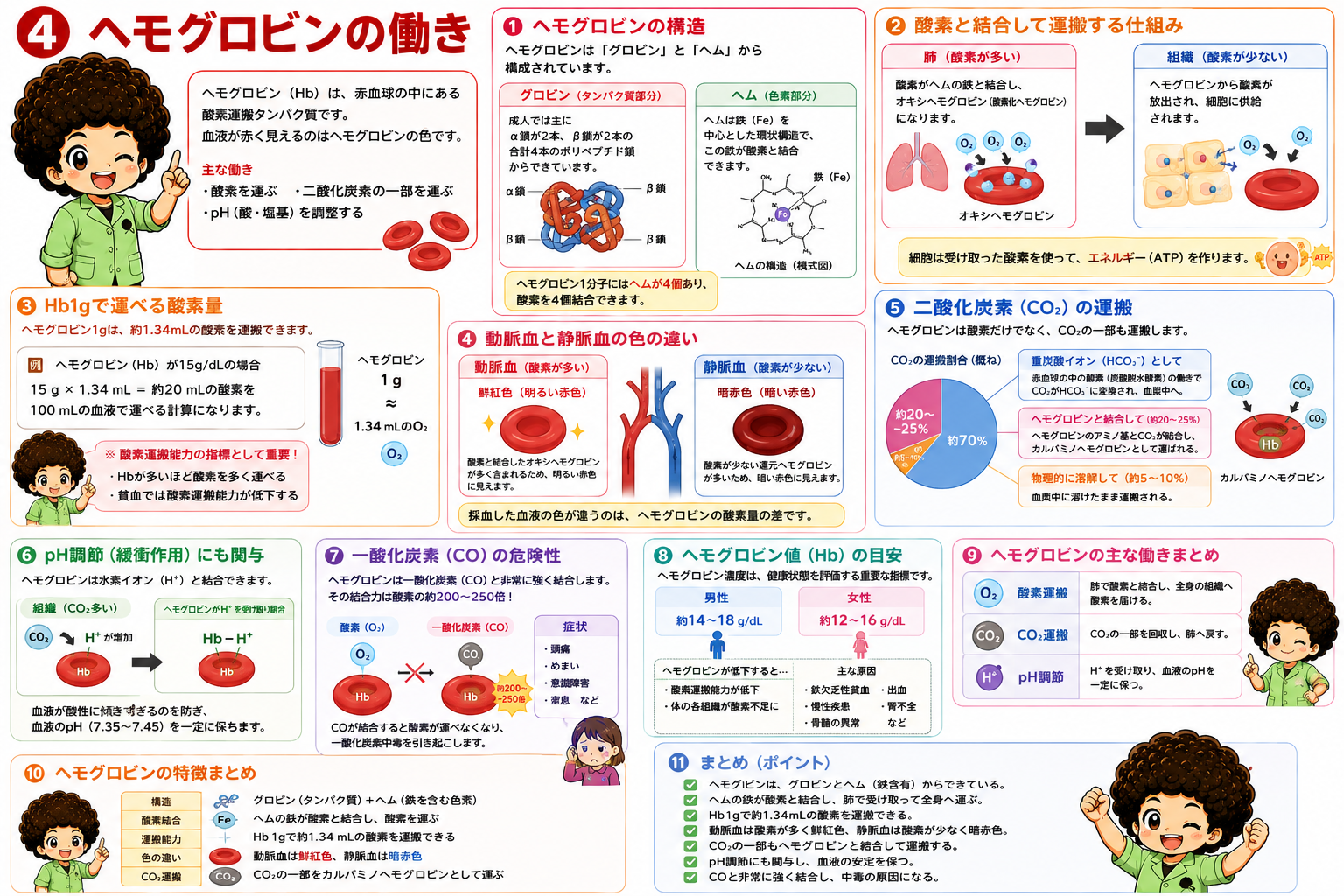 ヘマトクリットと血沈のしくみ・基準値