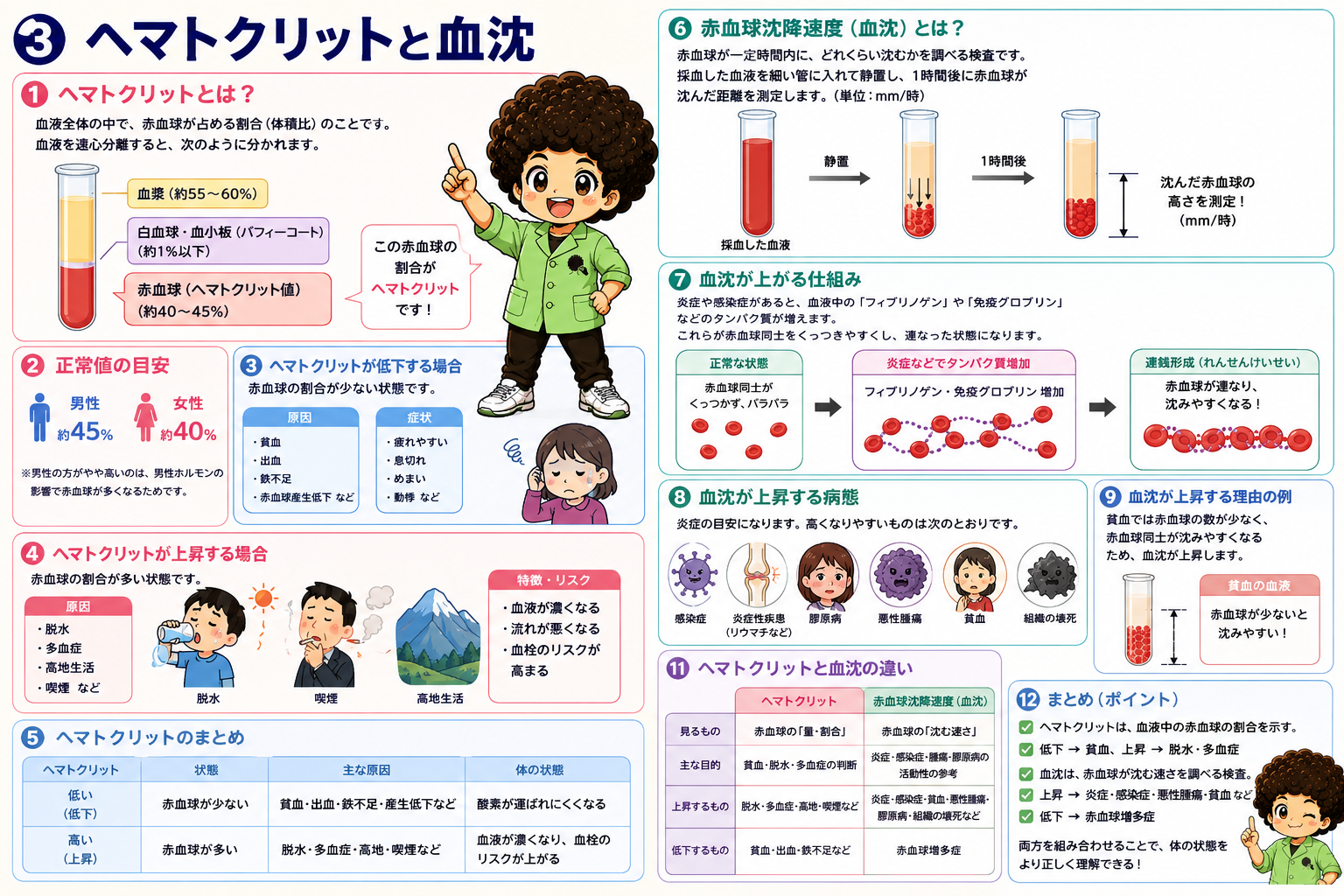 ヘモグロビンの構造・酸素運搬・CO2運搬の割合