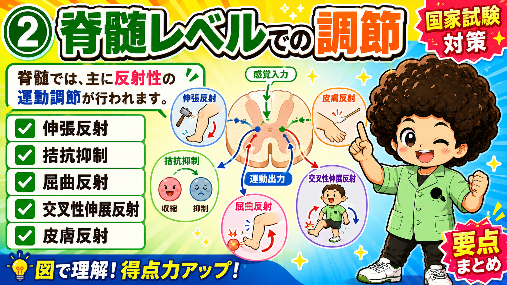 脊髄レベルでの運動調節：5つの反射