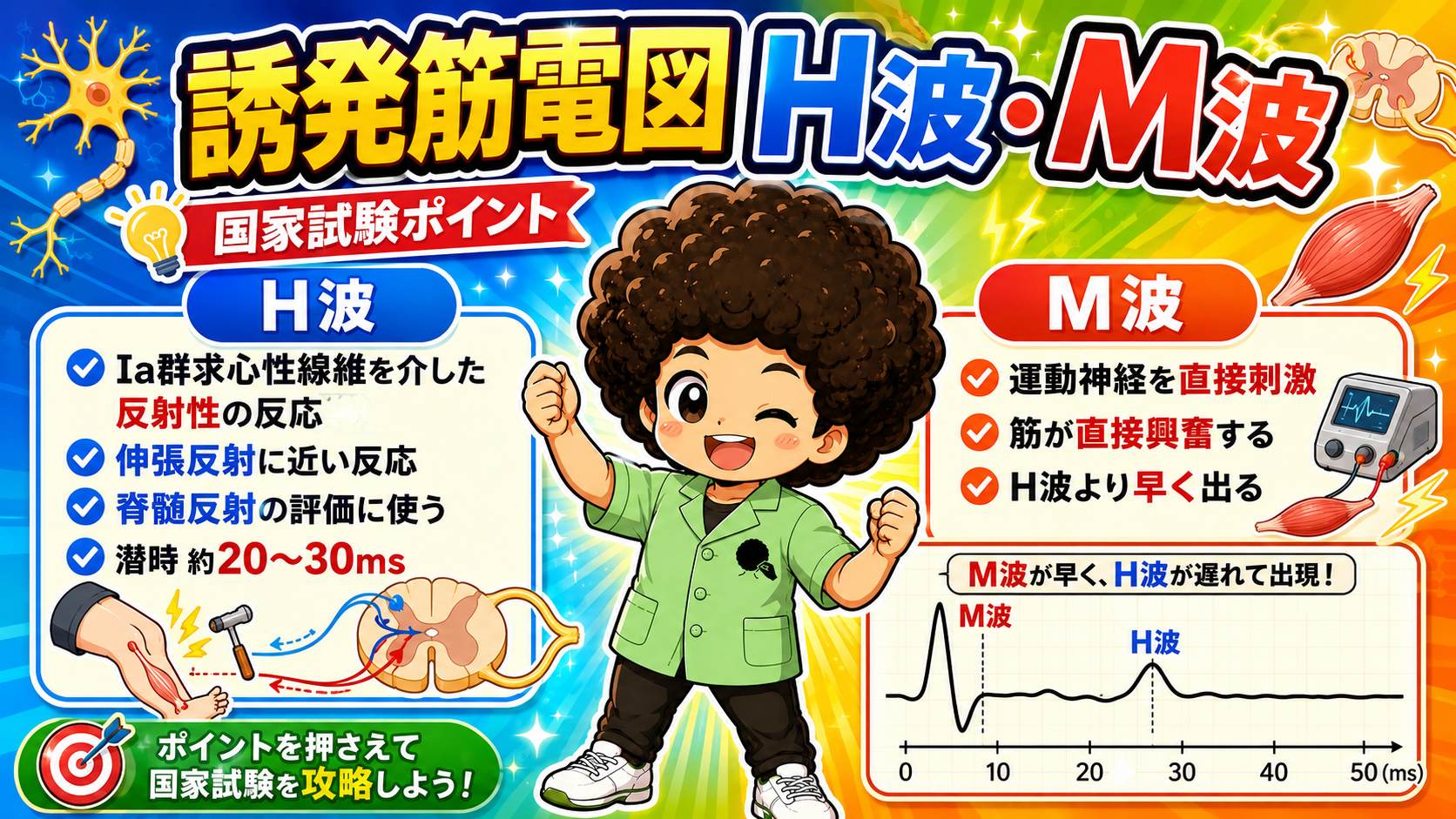 誘発筋電図のH波とM波