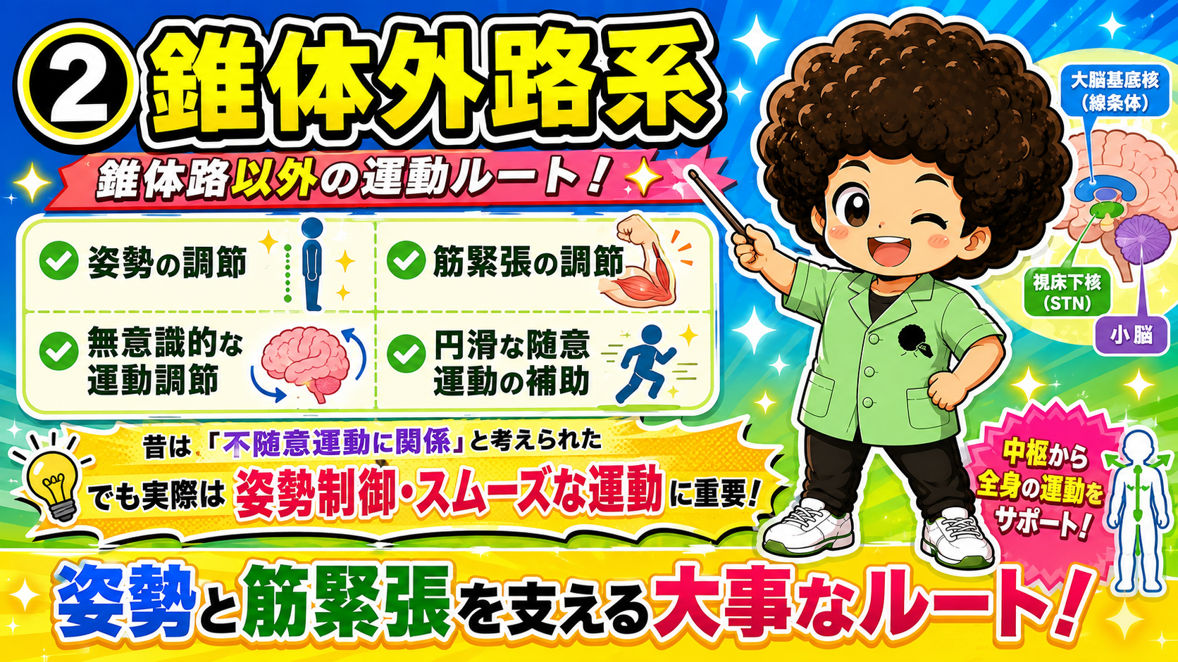錐体外路系＝錐体路以外の運動ルート。姿勢と筋緊張を支える