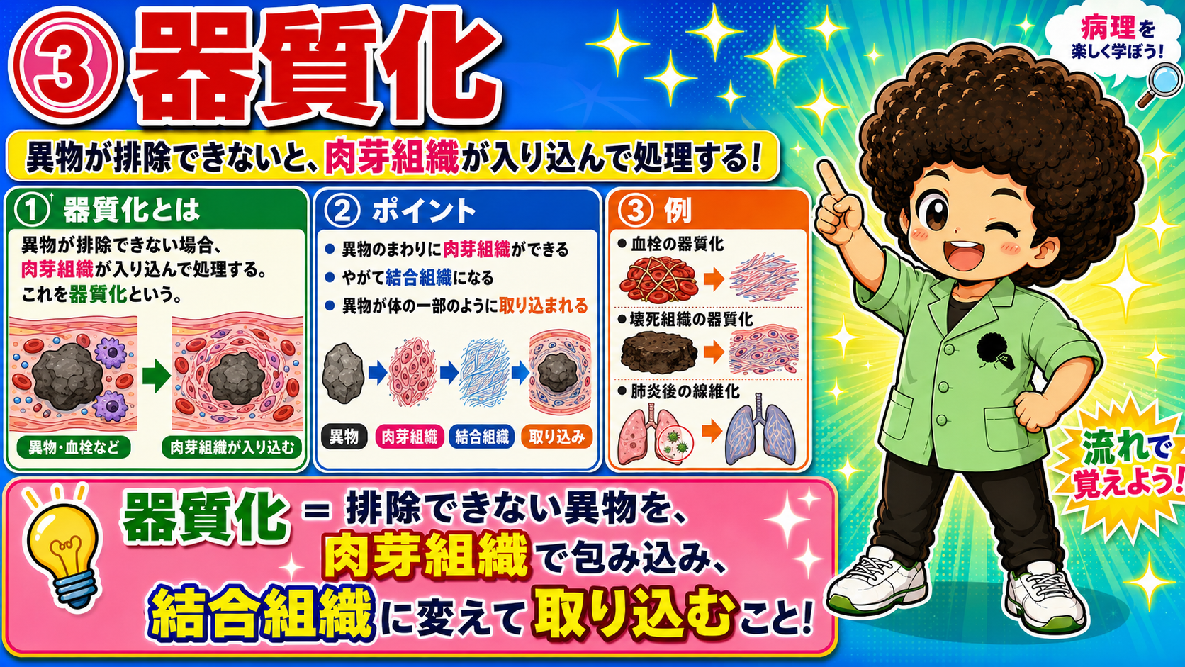 器質化＝排除できない異物を肉芽組織で包み込み、結合組織に変えて取り込むこと