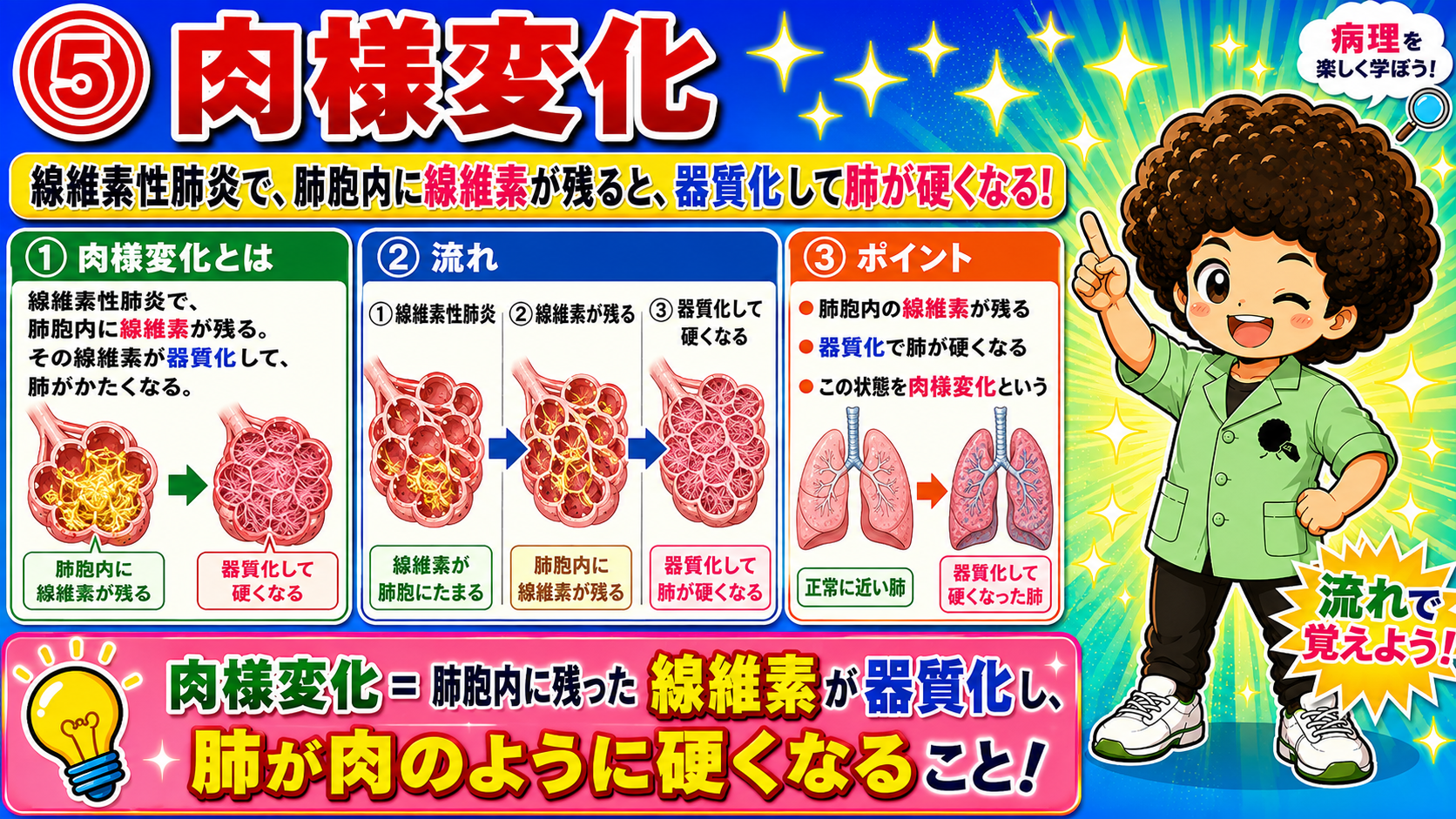 肉様変化＝肺胞内に残った線維素が器質化し、肺が肉のように硬くなること