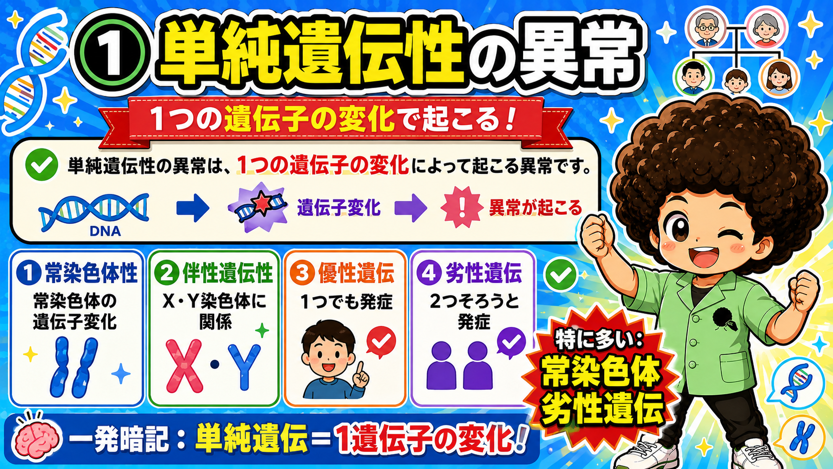 単純遺伝性の異常の4分類と「特に多い＝常染色体劣性遺伝」