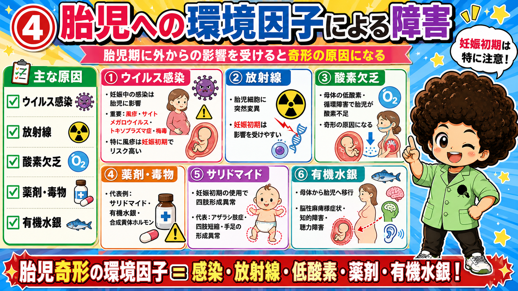 臨界期＝妊娠3〜10週。多くの奇形は胎芽期（器官形成期）に成立する