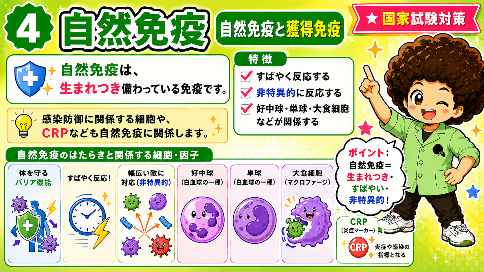 自然免疫 ― 生まれつき・すばやい・非特異的