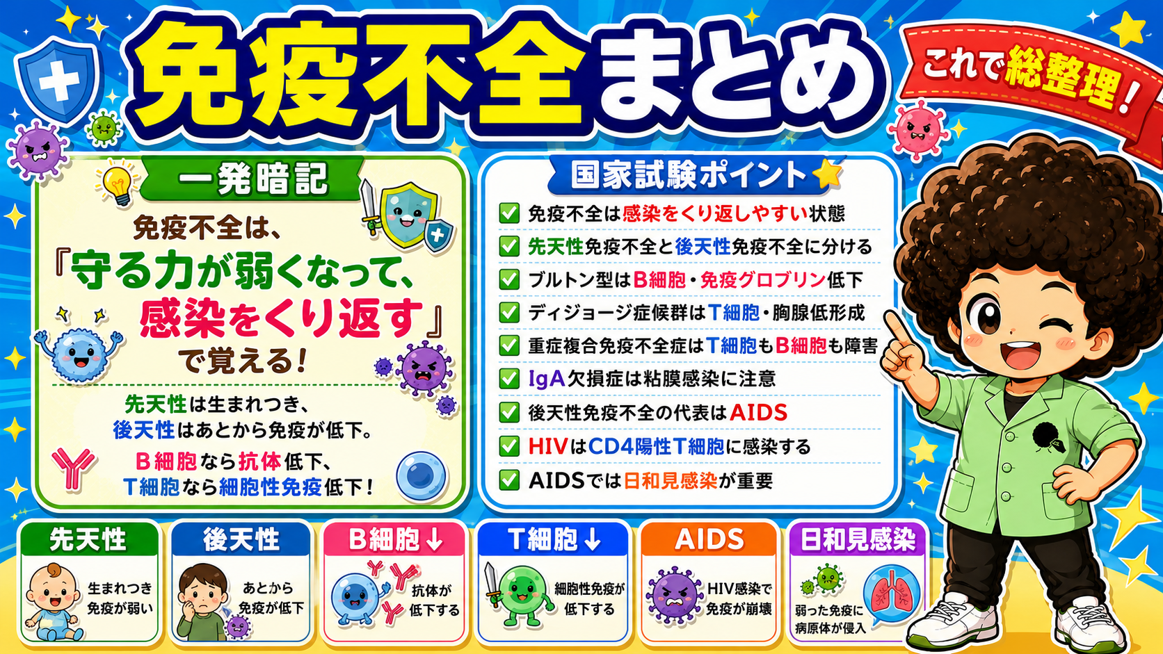 免疫不全まとめ（一発暗記と国家試験ポイント）