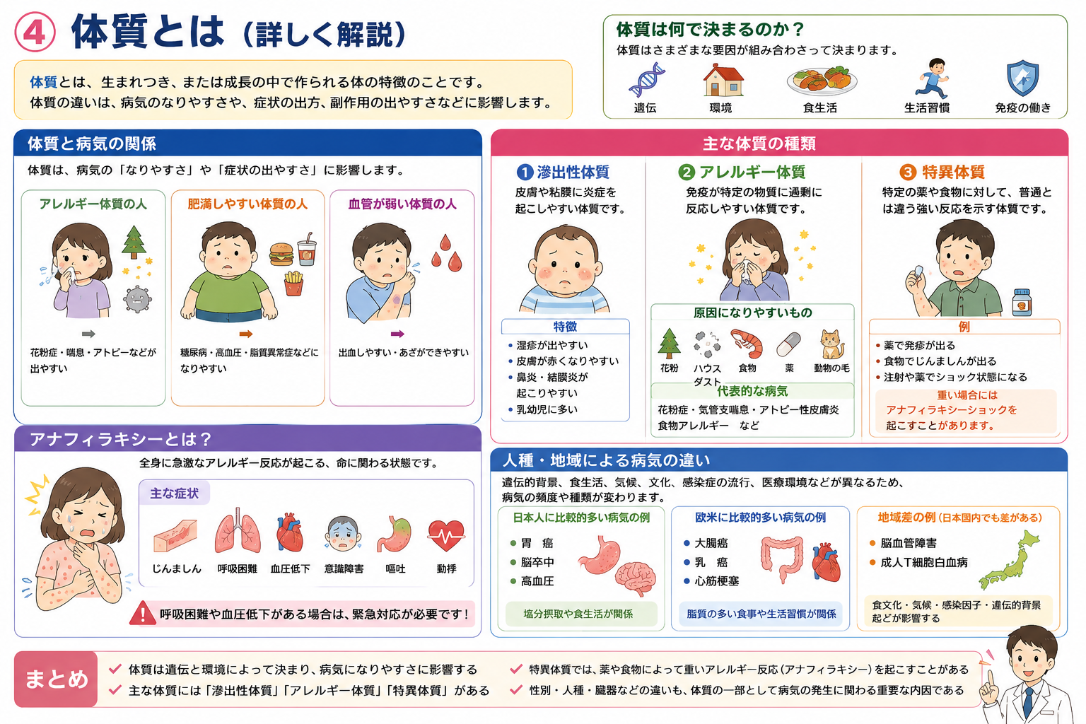 遺伝の基本（染色体46本・XX/XY・染色体異常の3疾患）