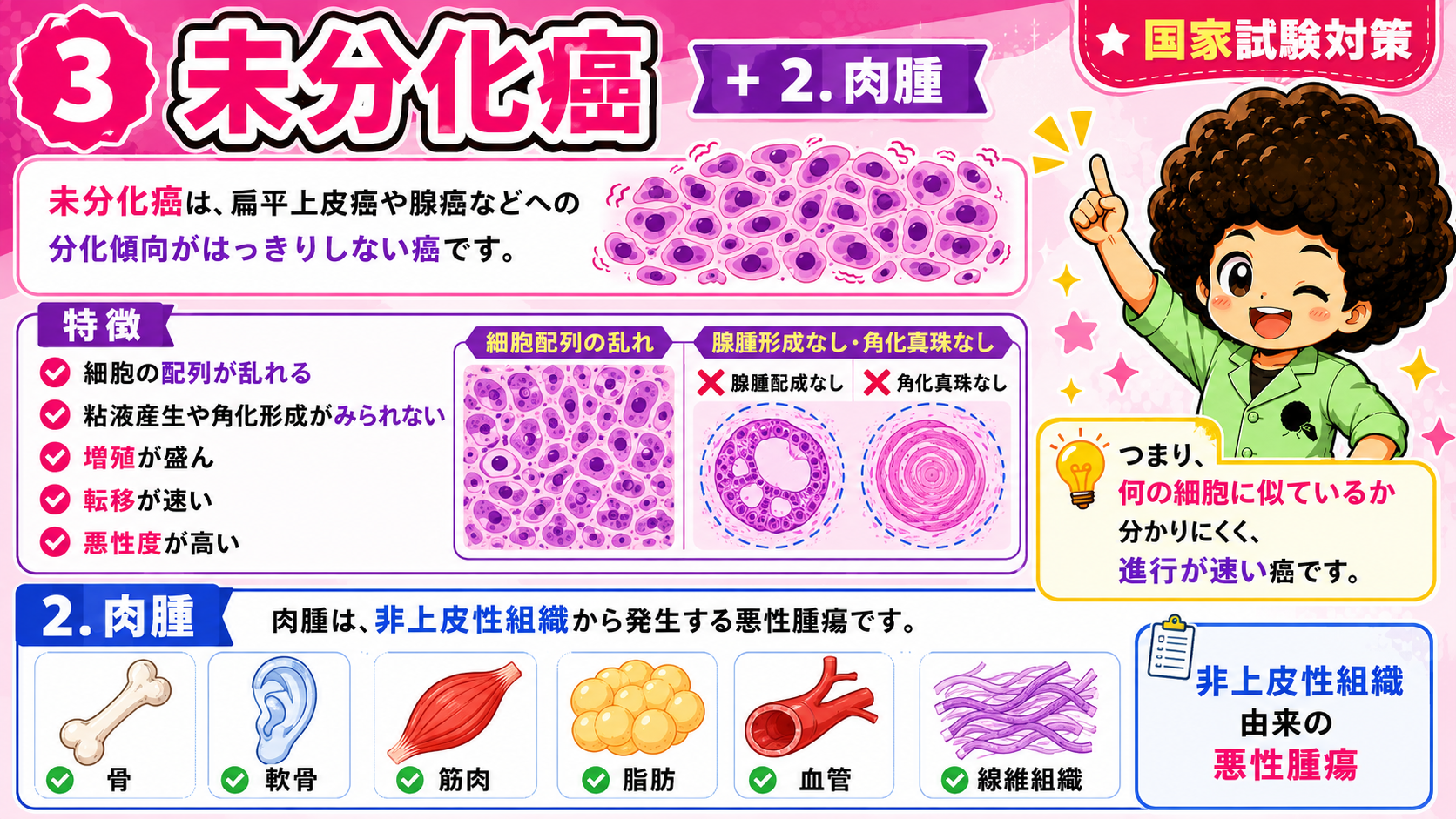 肉腫は非上皮性組織（骨・軟骨・筋肉・脂肪・血管・線維組織）から発生する悪性腫瘍