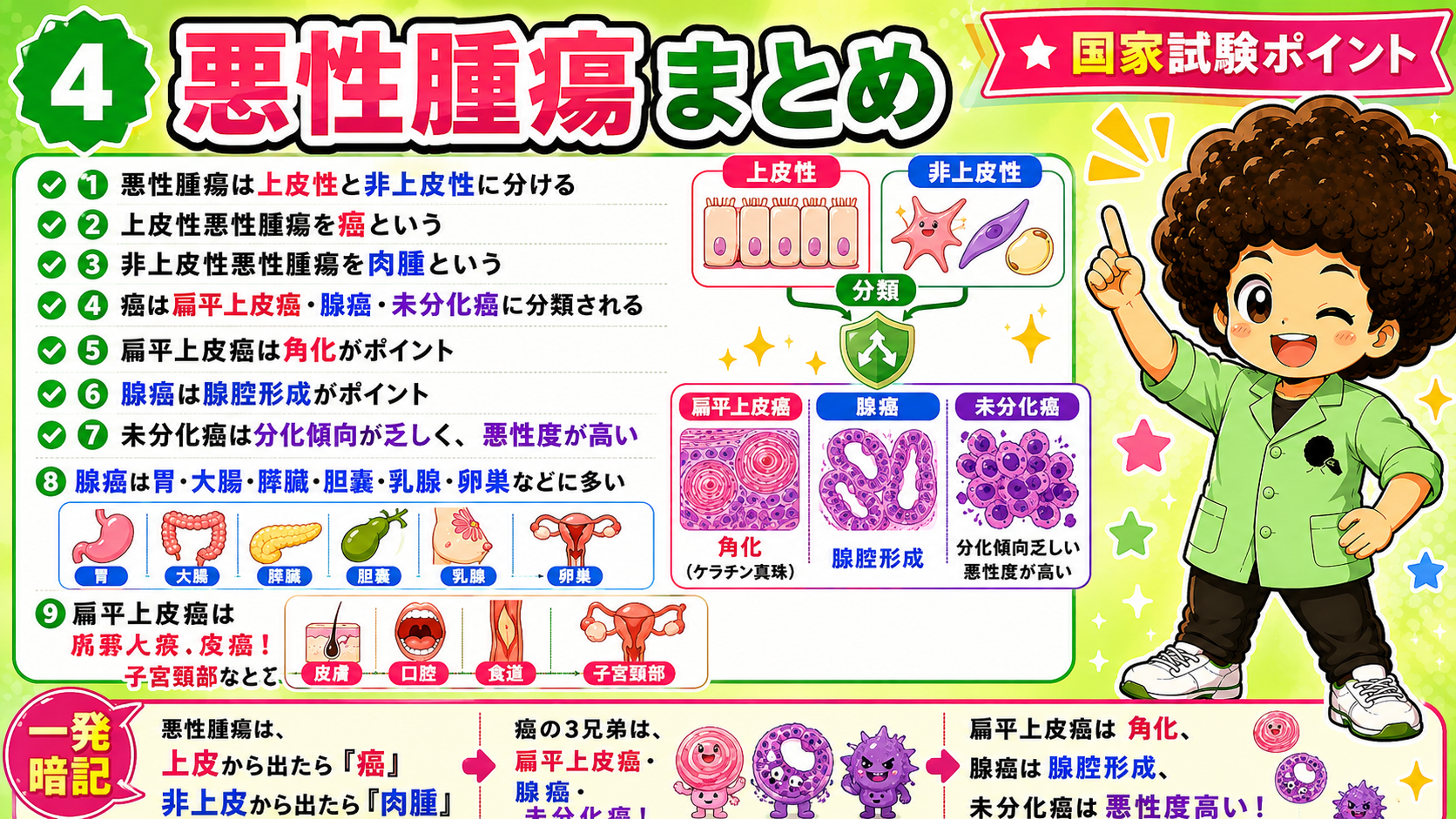悪性腫瘍｜悪性腫瘍 1