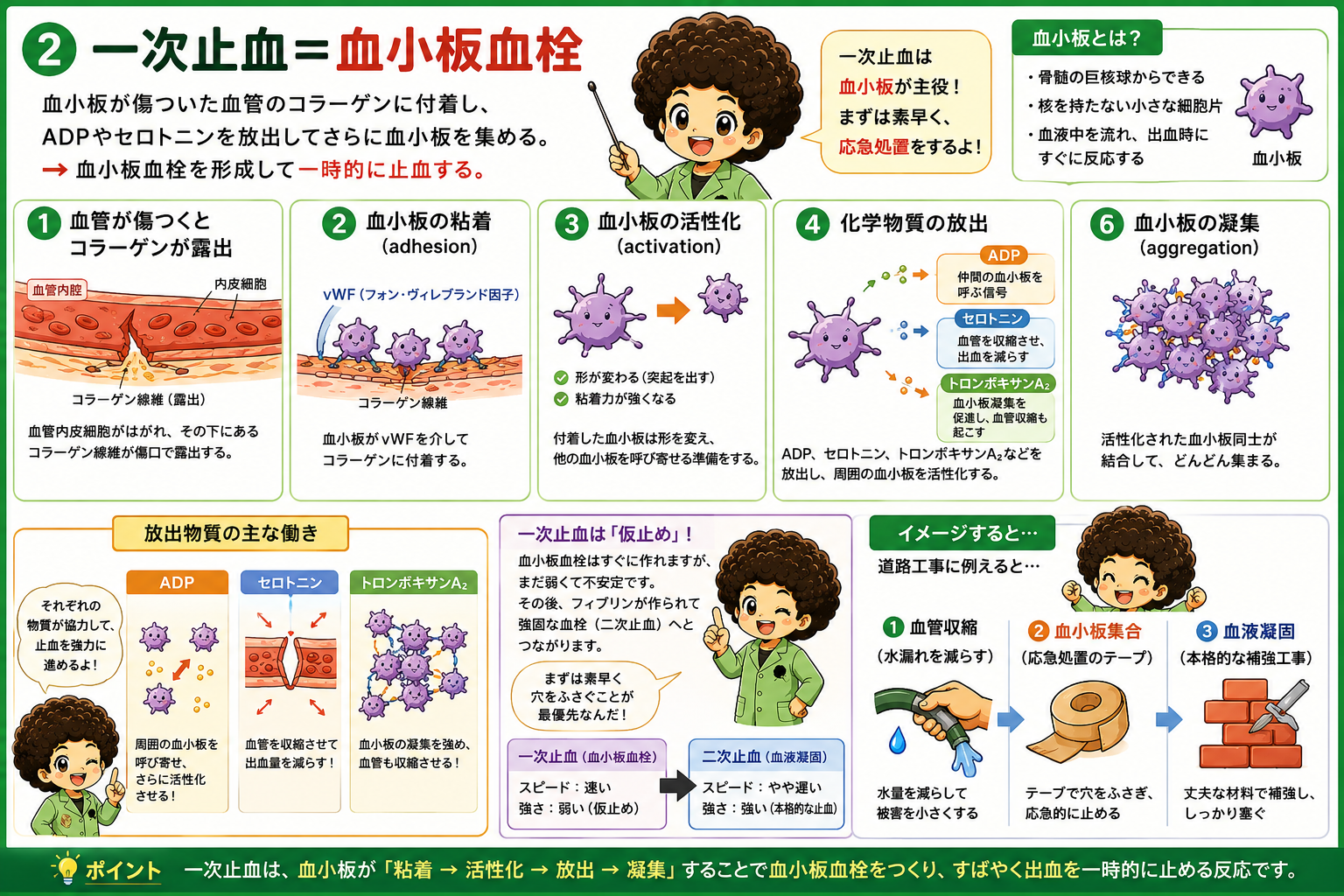 一次止血＝血小板血栓（粘着・活性化・放出・凝集の6ステップ）