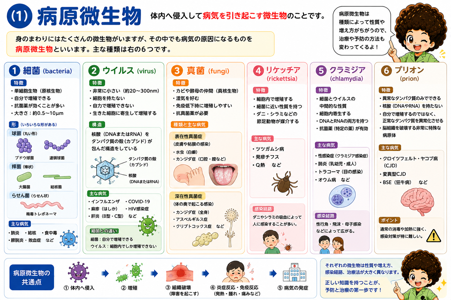 病原微生物6種（細菌・ウイルス・真菌・リケッチア・クラミジア・プリオン）の一覧