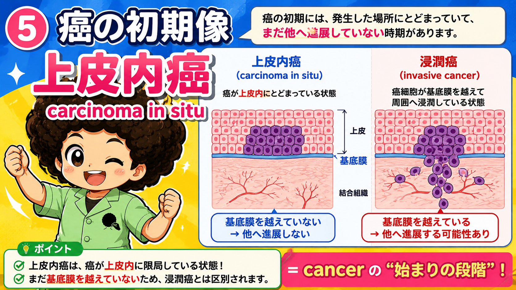 上皮内癌と浸潤癌は基底膜を越えるかで区別する