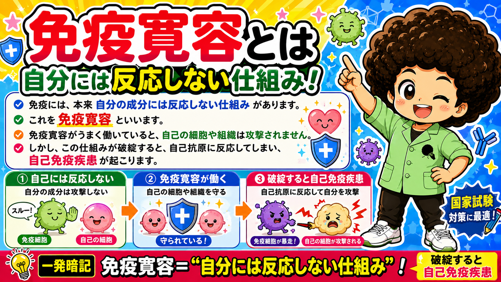 免疫寛容＝自分には反応しない仕組み。破綻すると自己免疫疾患