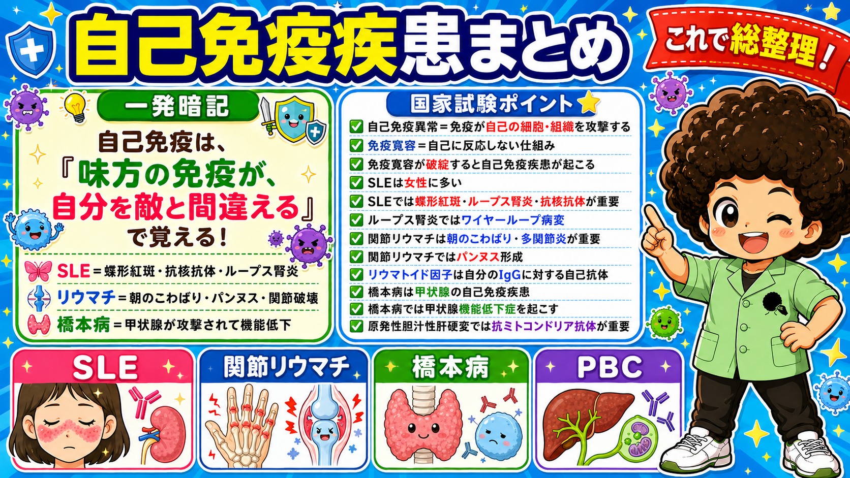 自己免疫疾患まとめ－SLE・関節リウマチ・橋本病・PBC