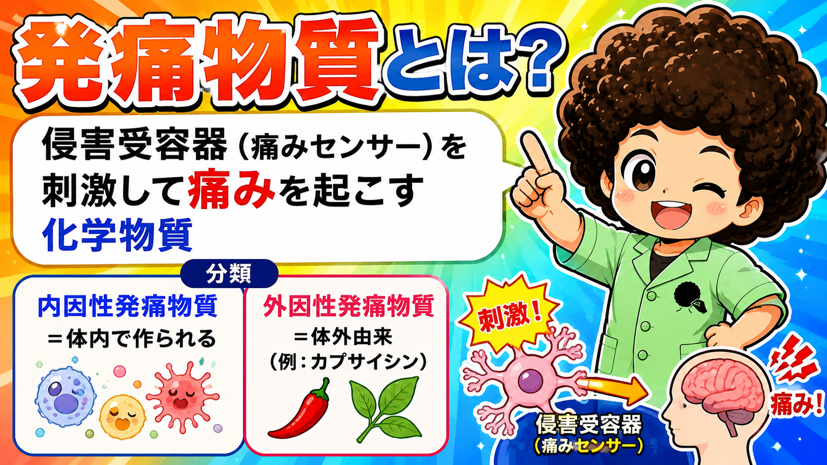 発痛物質｜発痛物質 1