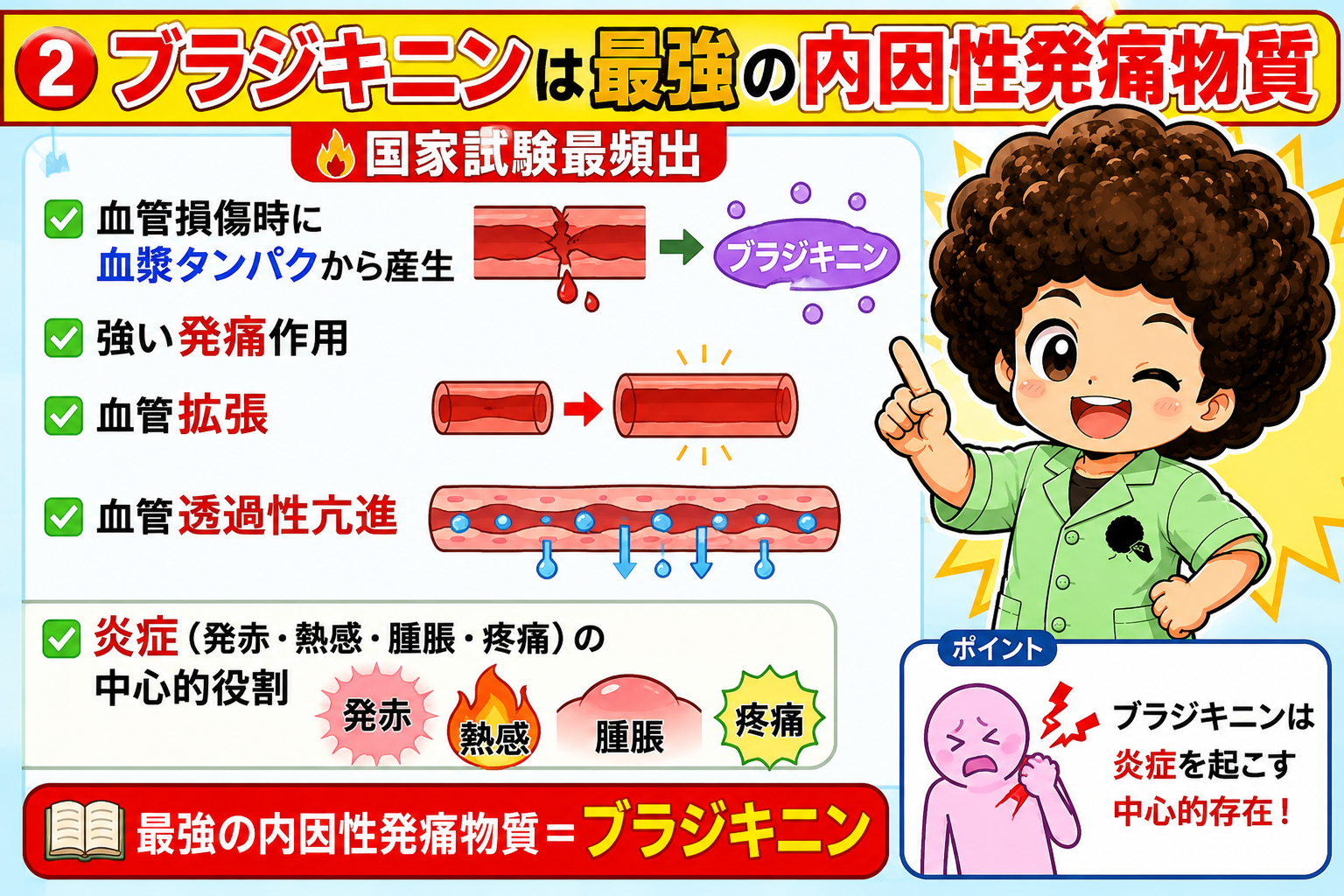 ブラジキニンは最強の内因性発痛物質。血漿タンパクから産生され炎症の中心的役割を担う