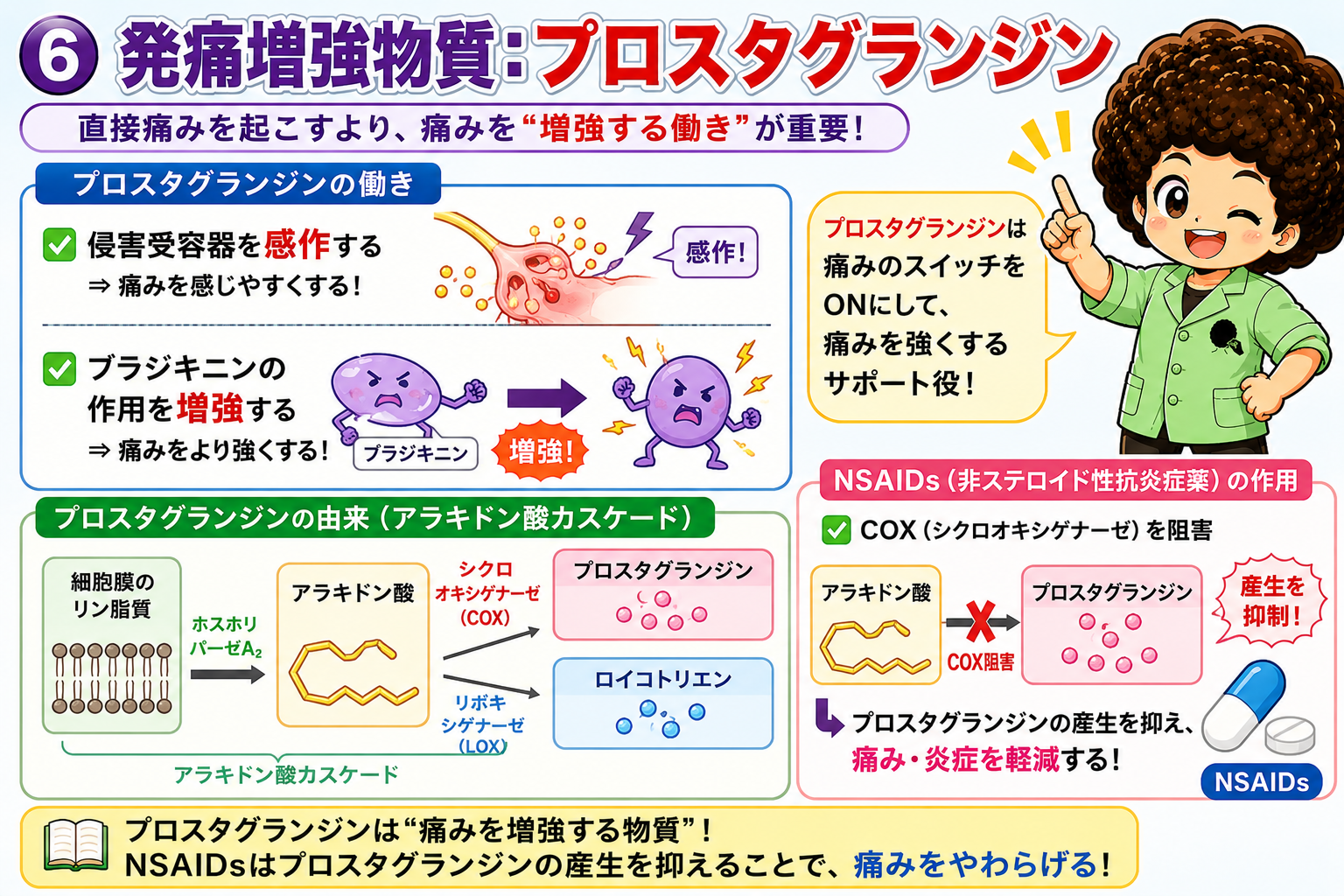 プロスタグランジンは発痛増強物質。NSAIDsはCOXを阻害して産生を抑え痛みを和らげる